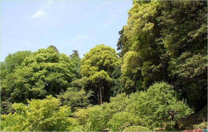 Kairaku-en Gardens i Mito