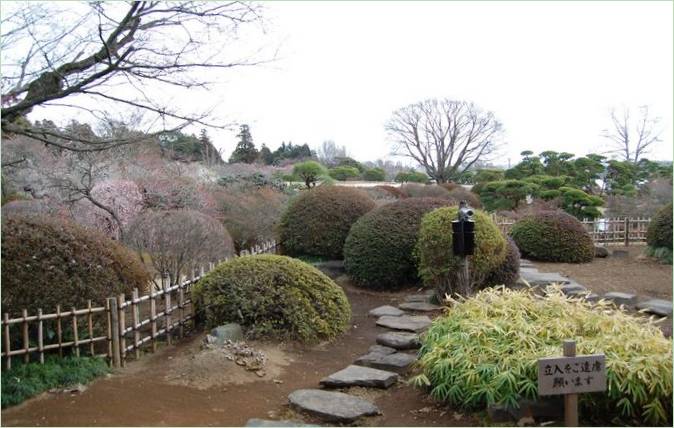 Kairaku-en Gardens i Mito