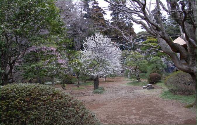 Kairaku-en Gardens i Mito