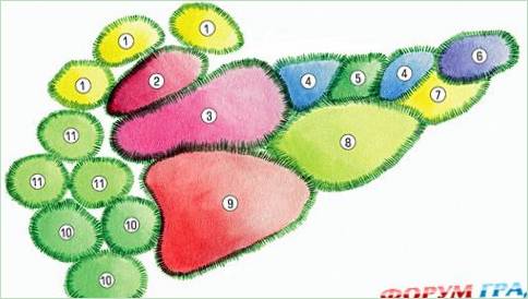 Blomsterarrangement til et vådområde