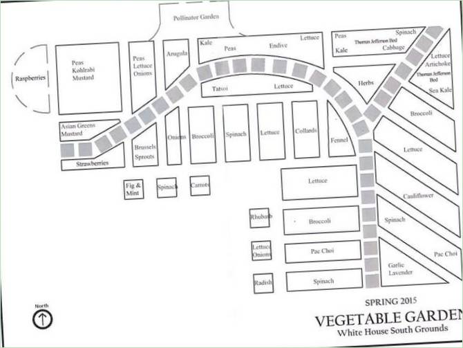 Layout til plantning af grøntsager i Michelle Obamas aromatiske grøntsagshave - foto 1