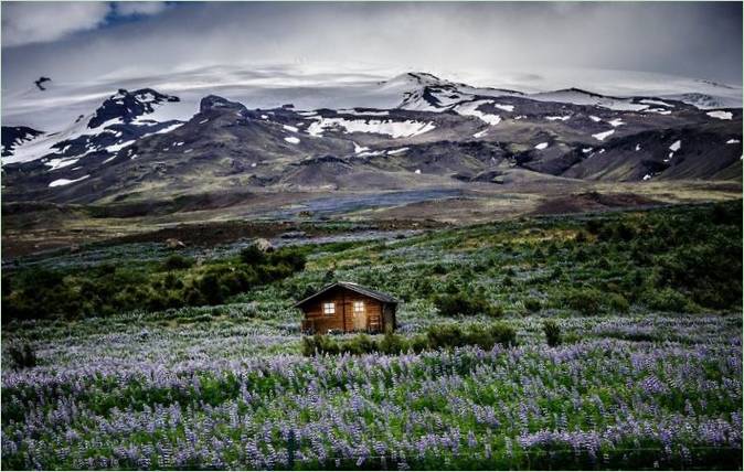 Et afsidesliggende hus i Island