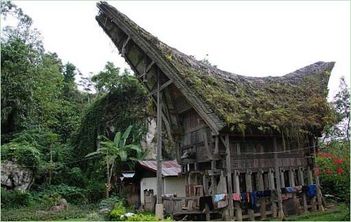 Tongkonan Construction