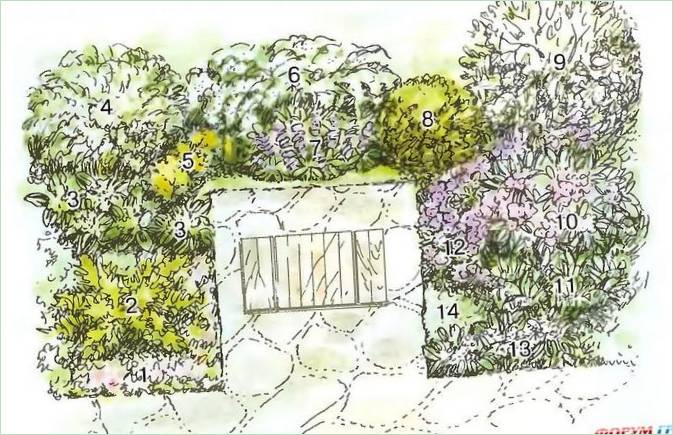 Blomsterhave design