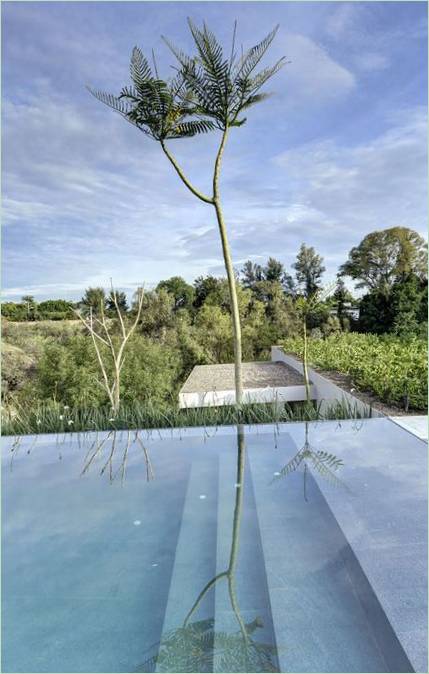 LA House swimmingpool af Elias Rizo Arquitectos