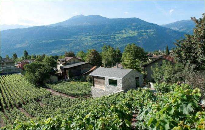 Vinmarker på Hermanier-landstedet i Schweiz