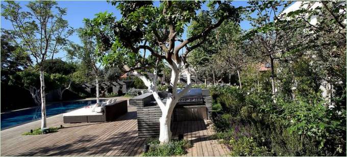 Træer på terrassen på Ramat Hasharon House 10