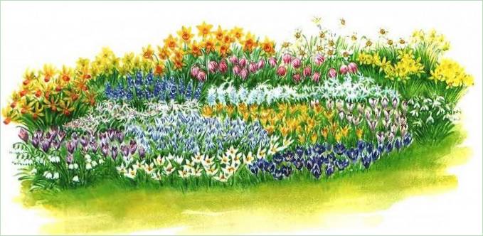 Forår blomsterarrangementer: ordning