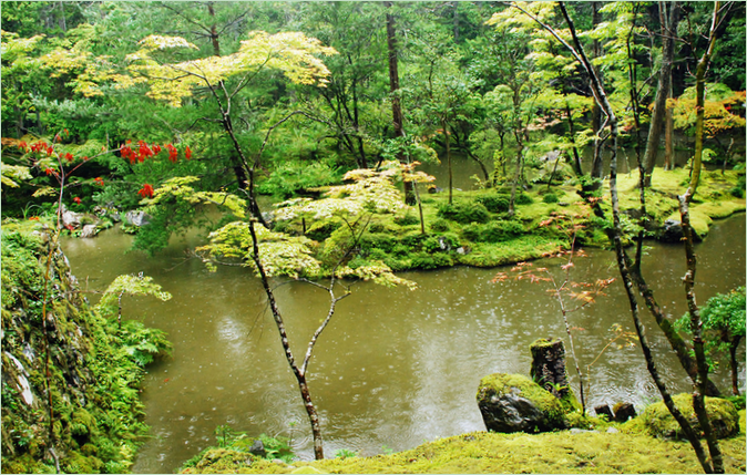 Moshaven Saiho-ji i Kyoto
