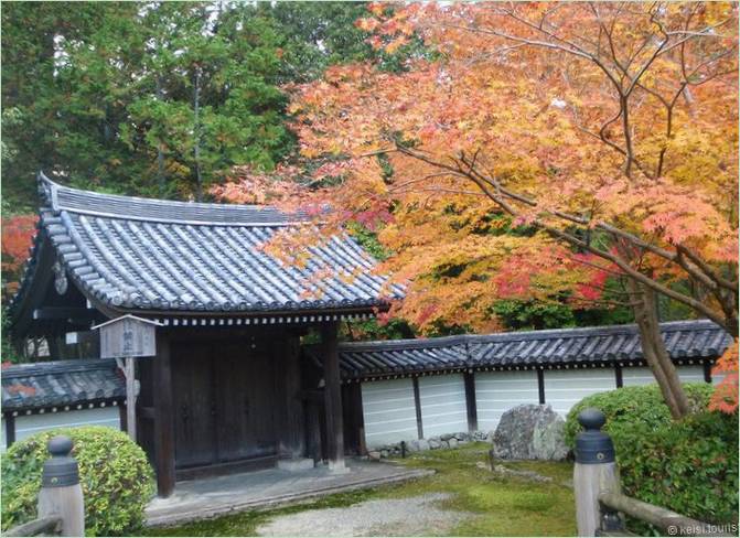 Moshaven Saiho-ji i Kyoto