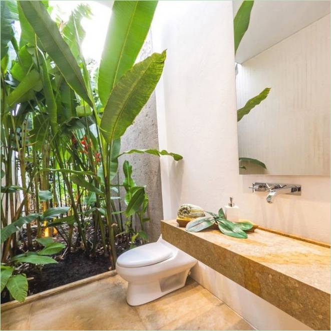 Planter i badeværelset