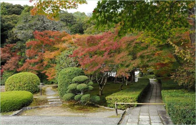 Moshaven Saiho-ji i Kyoto