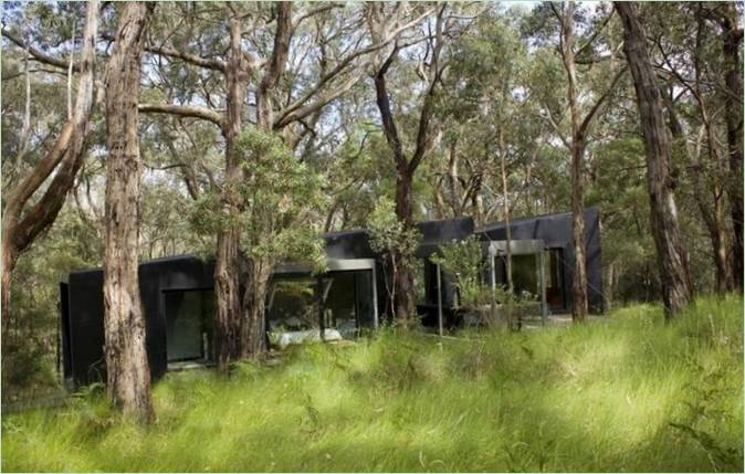 Red Hill Cabin in te Woods er smukt indrettet