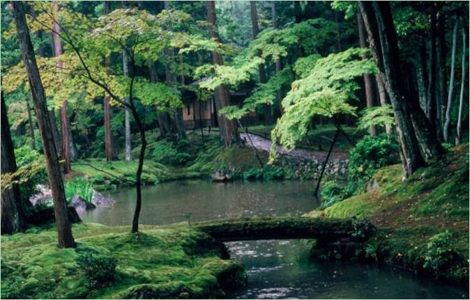 Moshaven Saiho-ji i Kyoto