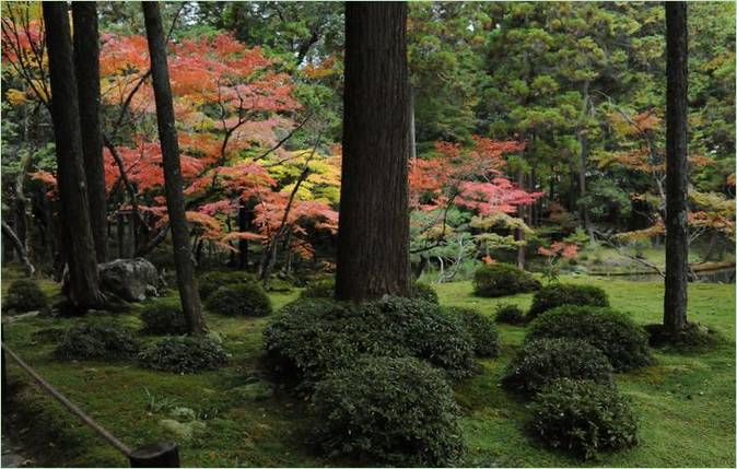 Moshaven i Saiho-ji i Kyoto
