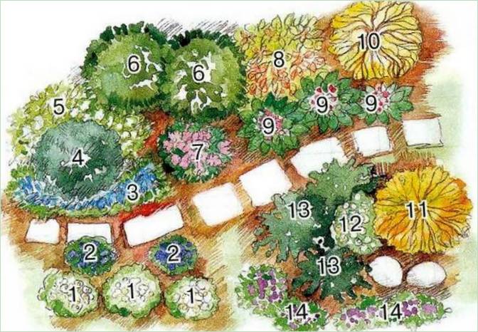 Blomstrende havesti