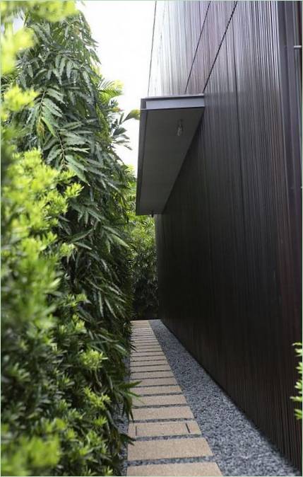 Sti langs huset midt i frodig vegetation