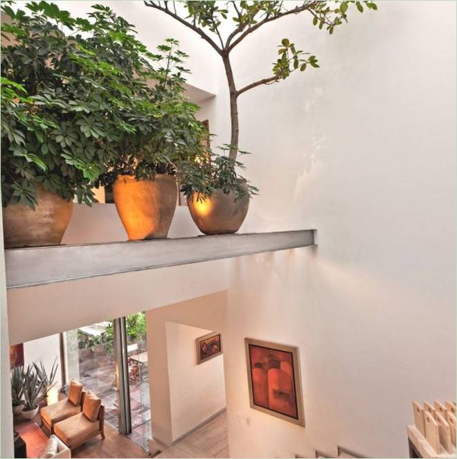 Planter i det indvendige af det smarte Casa Lomas Atlas palæ i Mexico