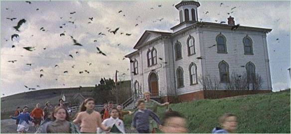 Optagelser fra filmen The Birds