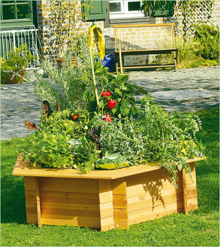 En blomsterkrukke af træ på grunden