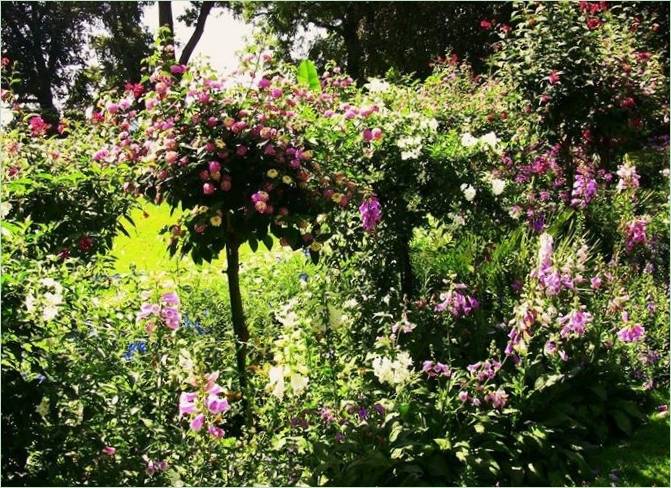 Sommerfuglehus på øen Mainau Park