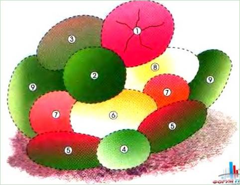 Ordningen af et blomsterbed med et lille træ