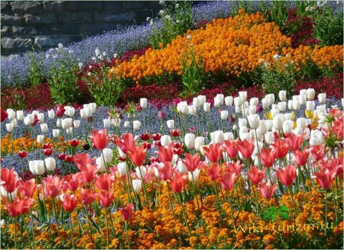 Sommerfuglehuset på øen Mainau Park