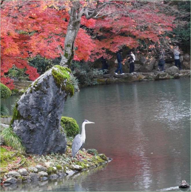 Kenroku-en Gardens i Kanazawa