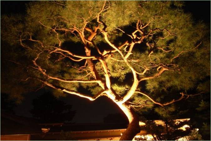 Kenroku-en Gardens i Kanazawa