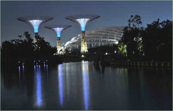 Projektet Gardens by te Bay i Singapore