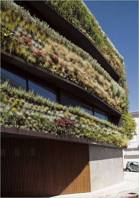 Lissabon-projektet om grønne huse