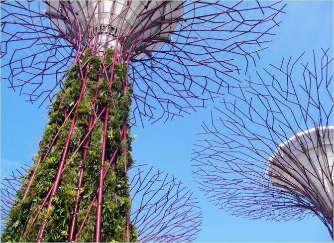 Gardens by te Bay i Singapore