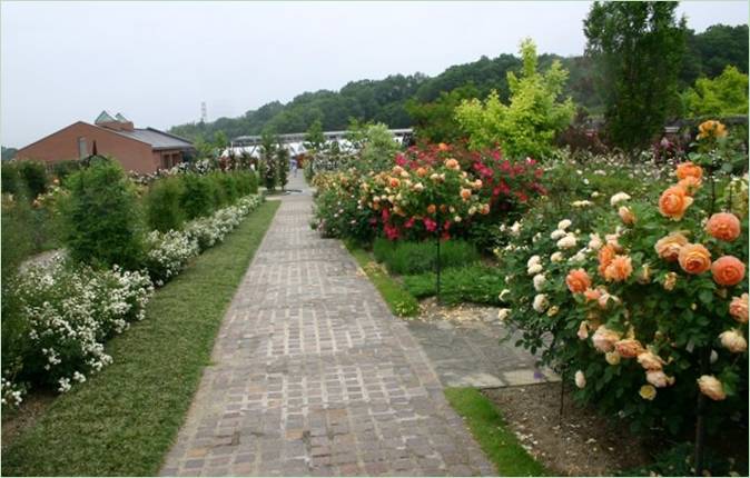 Blomsterfestivalens mindeparkhave i Japan