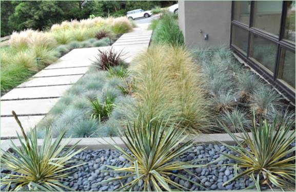 Havedesign med xeriscaping