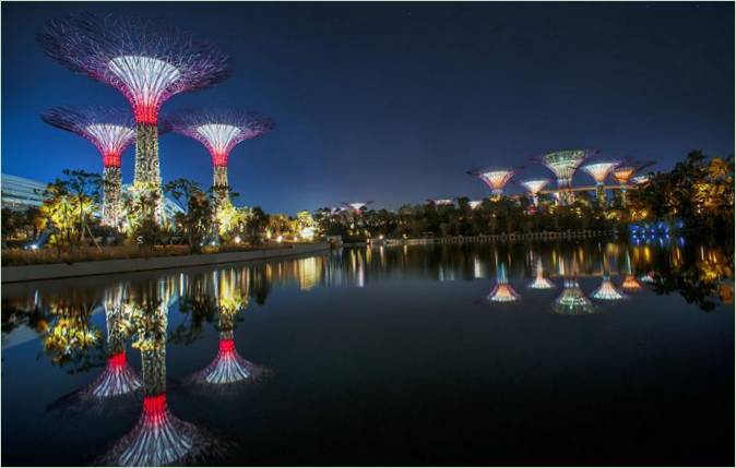 Gardens by te Bay i Singapore