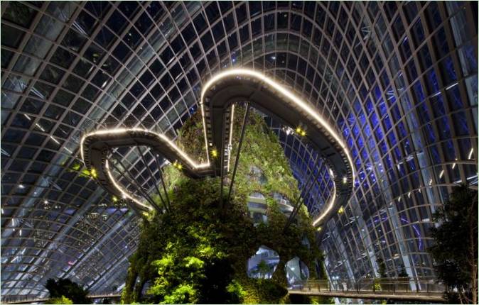Projektet Gardens by te Bay i Singapore