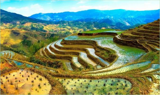 Banaue Risterrasser, Filippinerne - Foto 1