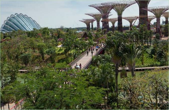 Gardens by te Bay i Singapore