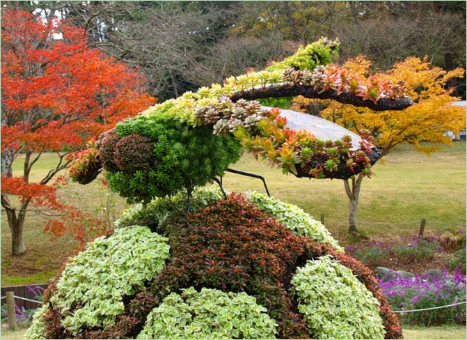 Udstilling om symfoni af mennesker og natur i Hamamatsu Park