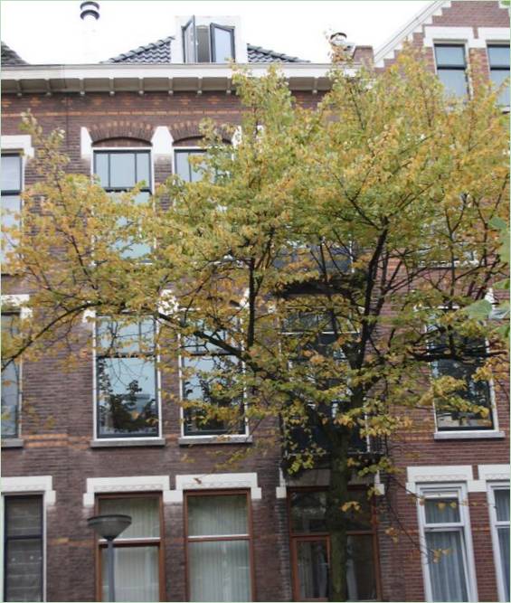 Udvendig side af historisk hus