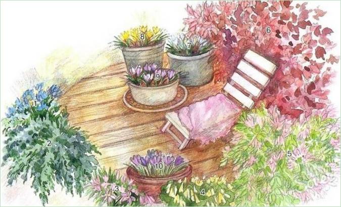 Blomstrende terrassehave