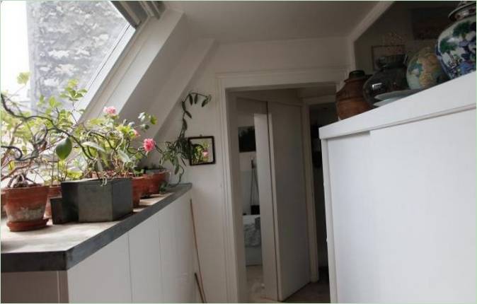 Blomster på en galvaniseret hylde i et gammelt hus efter renovering