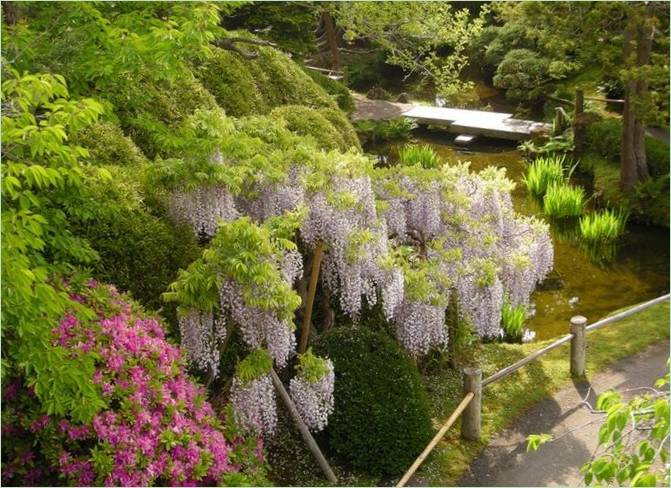 Hagiwara Tea Garden i San Francisco