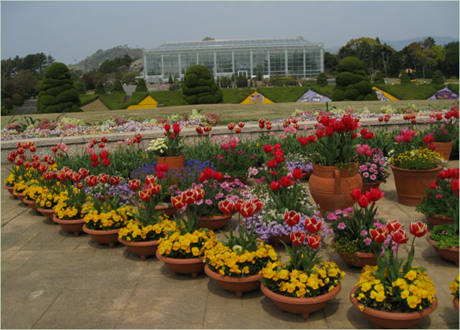 Udstilling En symfoni af mennesker og natur i Hamamatsu Park