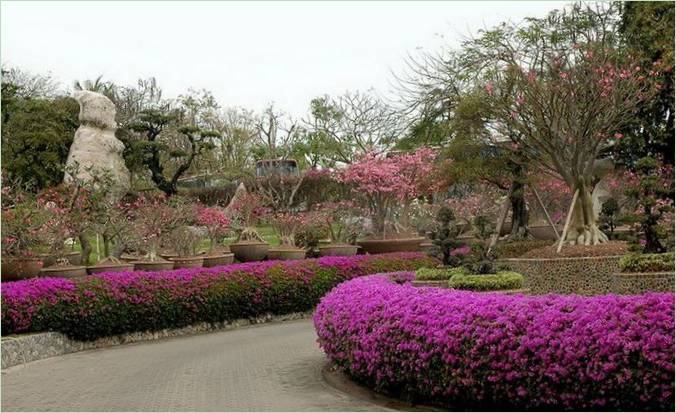 Million Years Stone Park Garden i Thailand