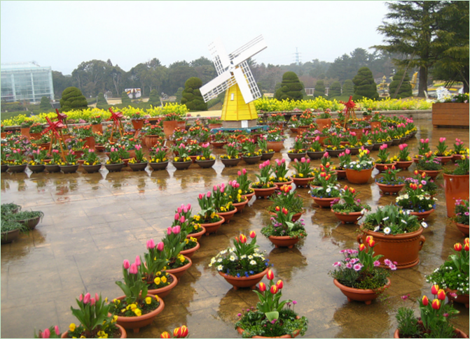 En symfoni af mennesker og natur i Hamamatsu Park