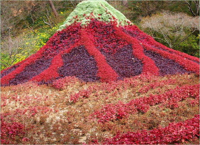 En symfoni af mennesker og natur Udstilling i Hamamatsu Park