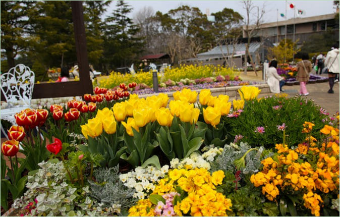 En symfoni af mennesker og natur Udstilling i Hamamatsu Park