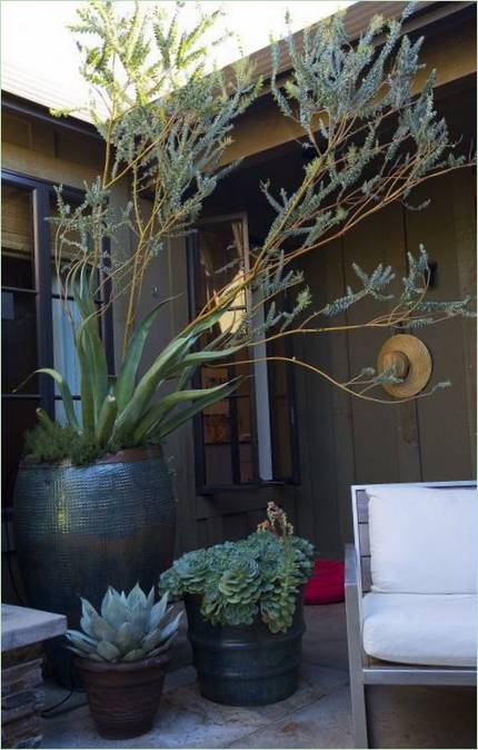 Masser af potteplanter i et hus i californisk stil