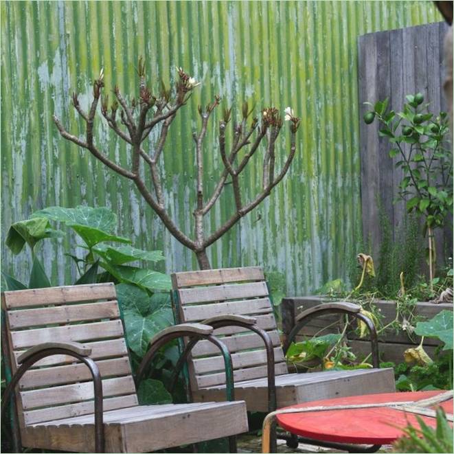 Marrickville House terrasse med siddepladser i Sydney